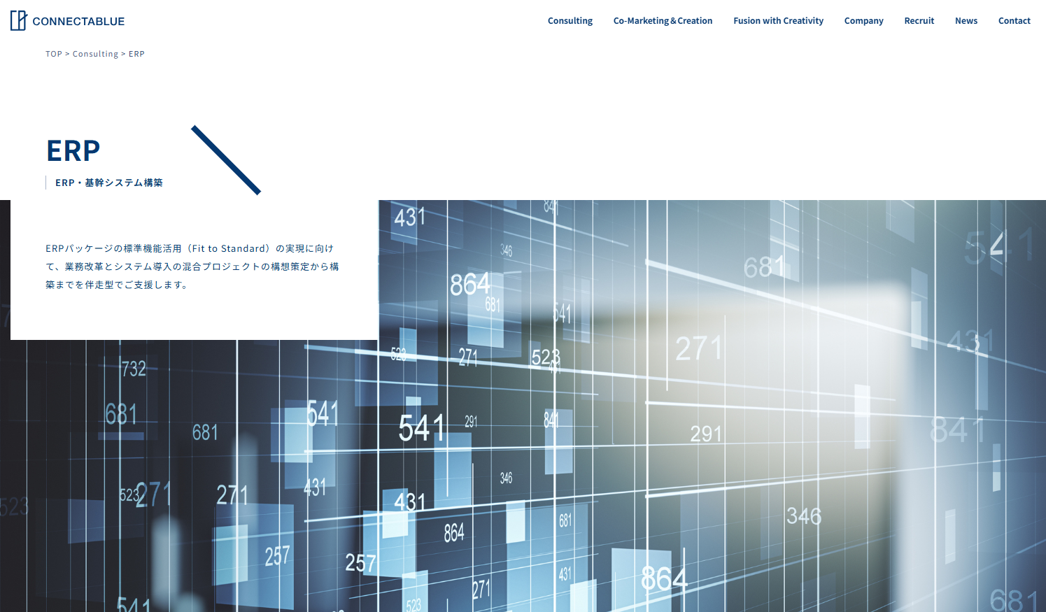 CONNECTABLUE / コネクタブルー